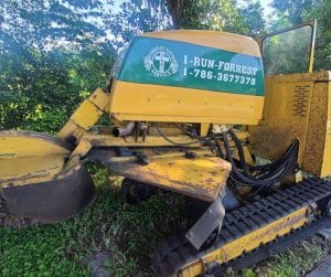 Read more about the article Why Stump Grinding Is Essential After Tree Removal in Winter Garden, FL
